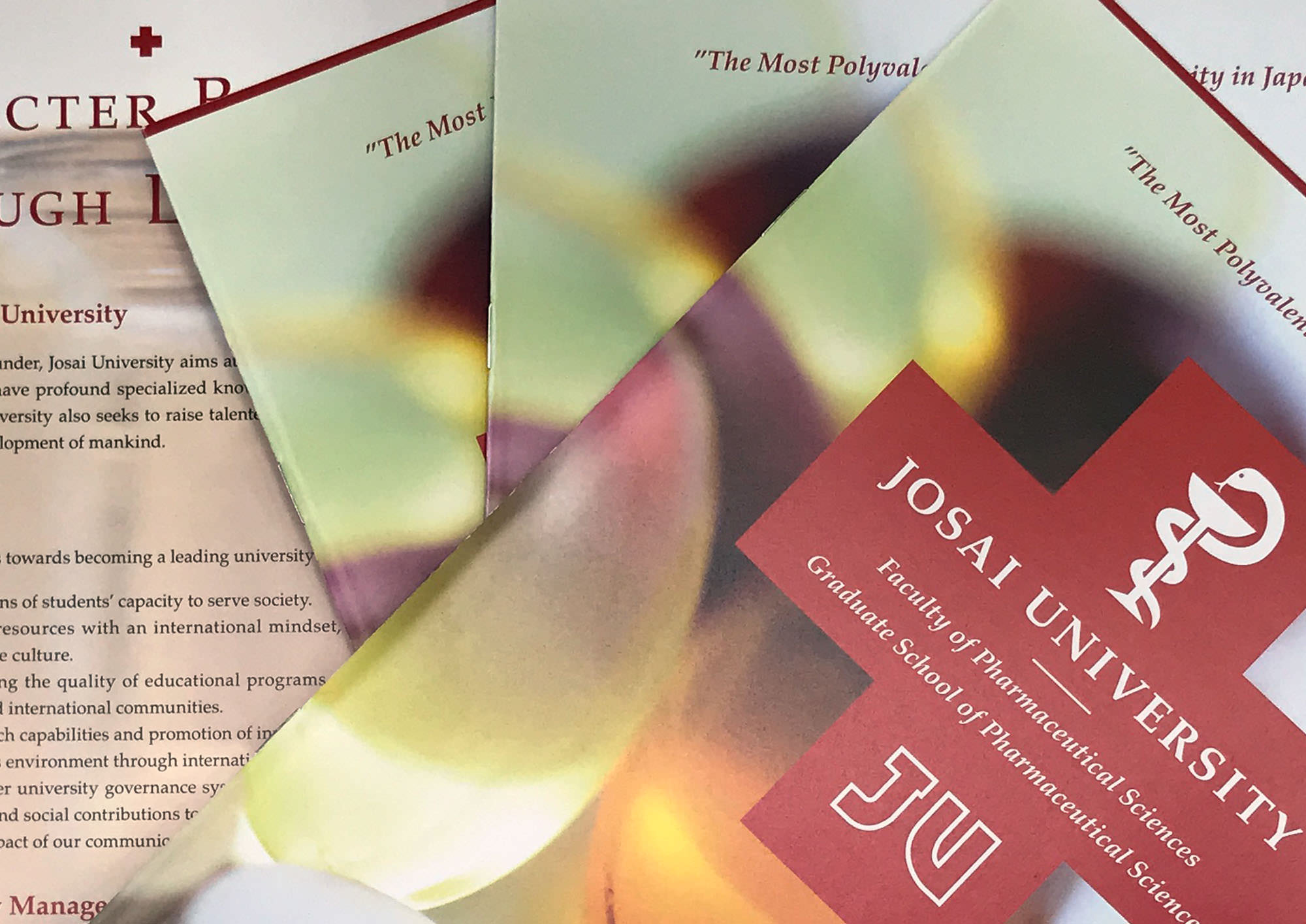 Brochure for Josai University's Faculty of Pharmacy | Studio Butterlin - Visual Communication